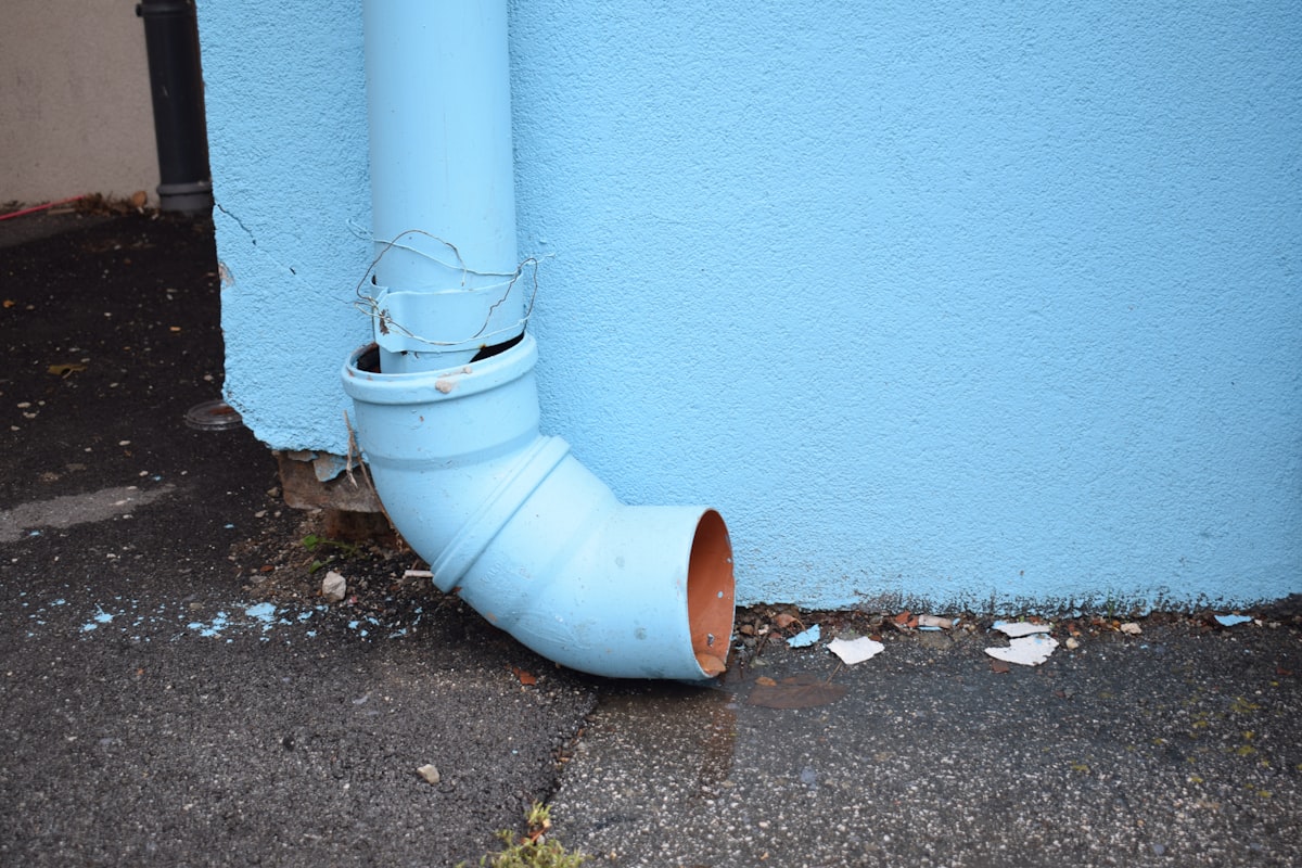 Mold Remediation service in High Point, NC